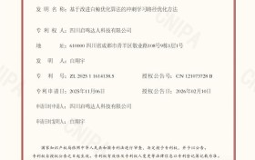 天立启鸣获学习路径优化新专利，冲刺营计划实现周级实时校准！